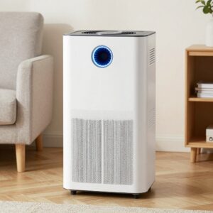 Types of Air Purifier Filters (And Why They Matter)