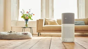 Whole House Air Purifier vs Portable Unit